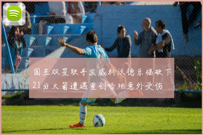 国王双星联手发威科沃德乐福砍下21分火箭遭遇重创哈珀意外受伤