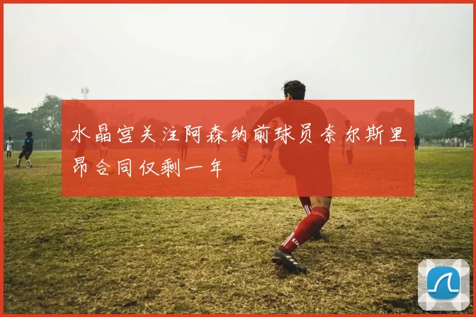 水晶宫关注阿森纳前球员奈尔斯里昂合同仅剩一年