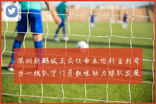 深圳新鹏城正式任命米伦科吉利奇为一线队守门员教练助力球队发展
